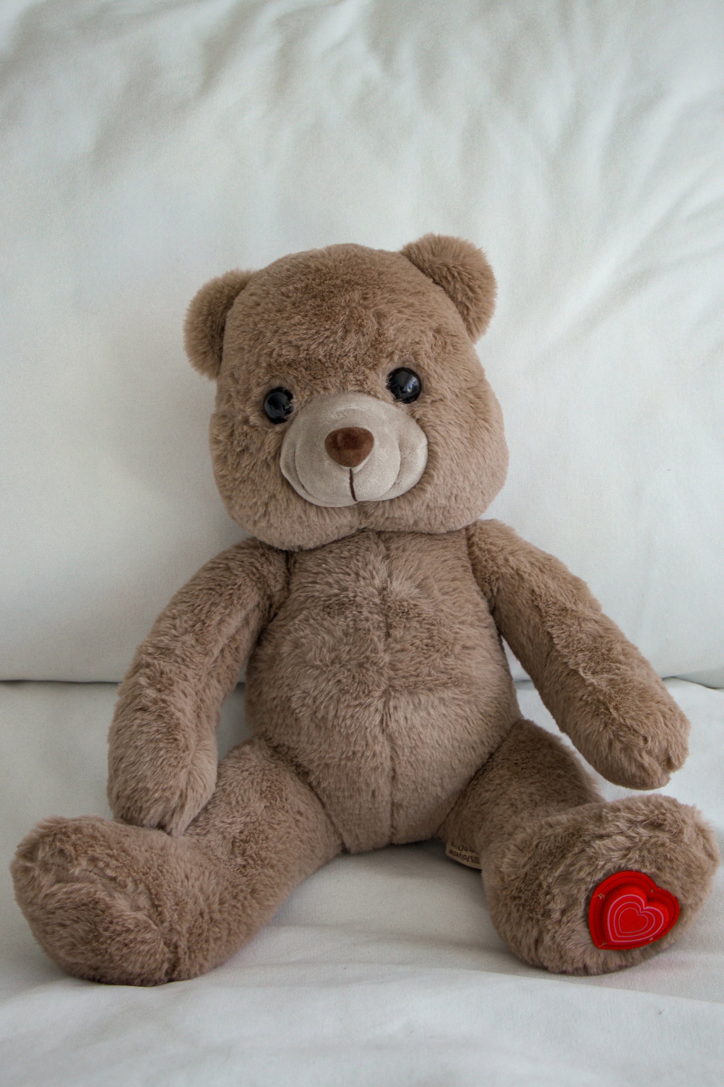 Bear
